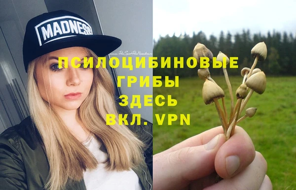 метамфетамин Тайга