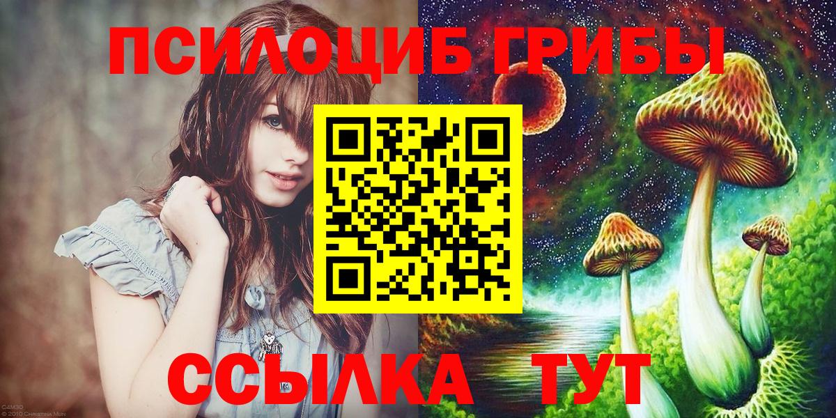 Псилоцибиновые грибы мицелий Усть-Лабинск