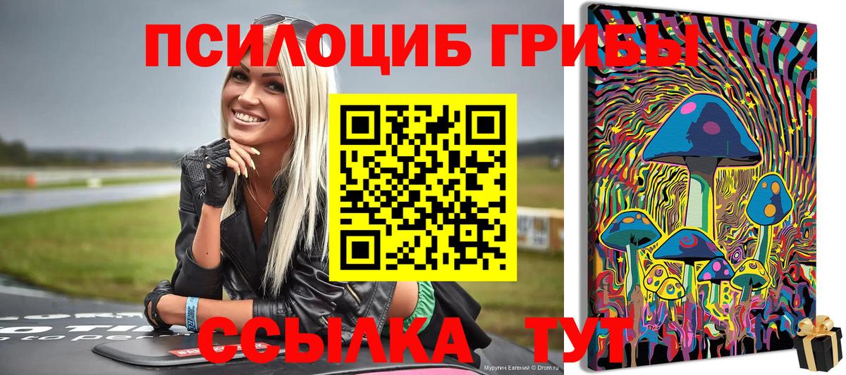 Псилоцибиновые грибы Magic Shrooms  Вход с VPN  Галлюциногенные грибы Magic Shrooms  Усть-Лабинск 