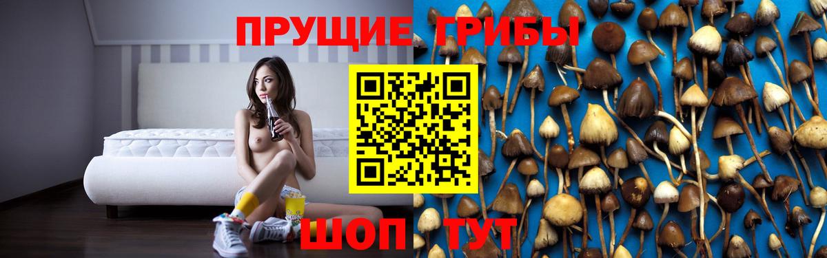 Псилоцибиновые грибы Cubensis Усть-Лабинск